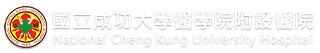 成大醫院資訊室-Logo